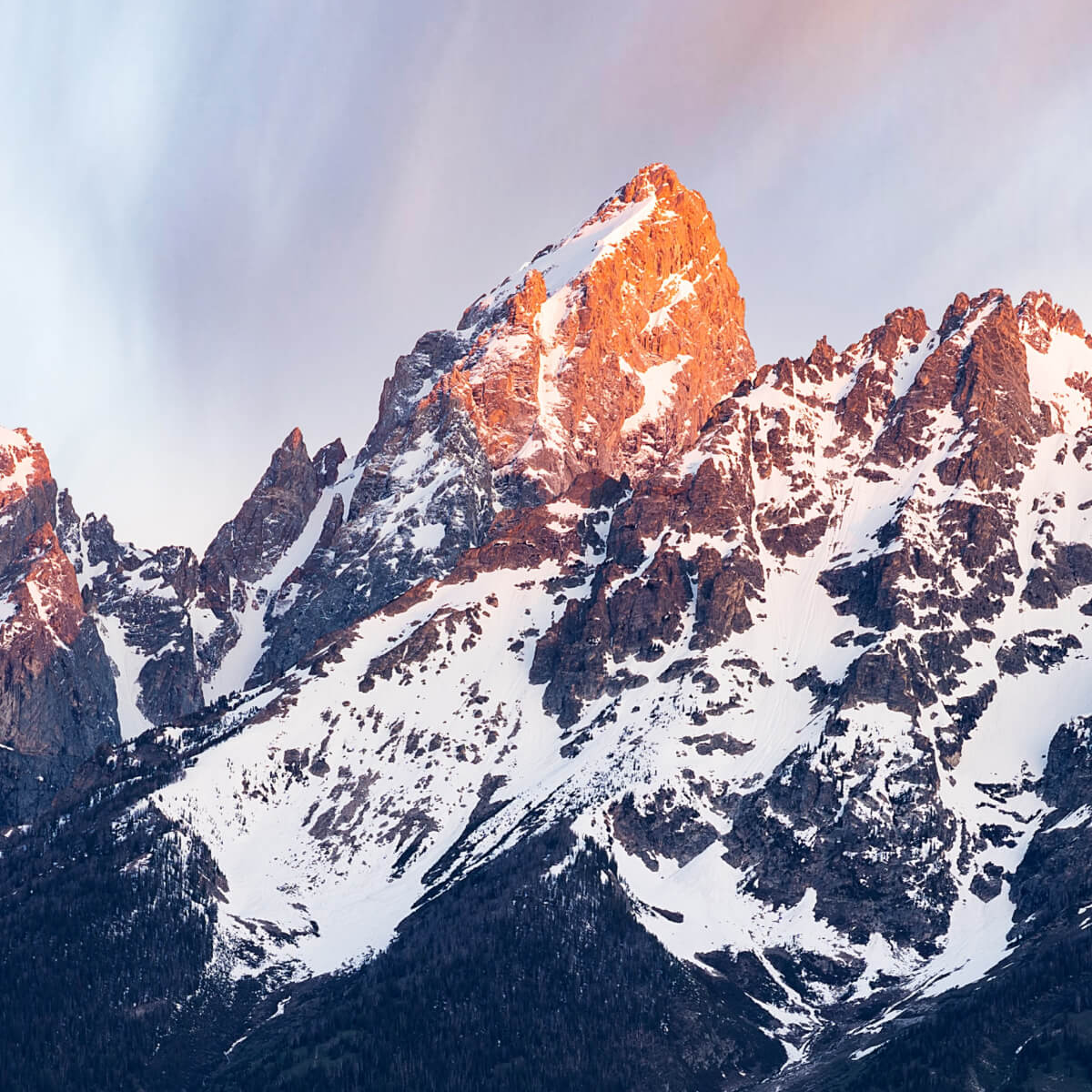 Visit Jackson Hole - TMBR Creative Agency